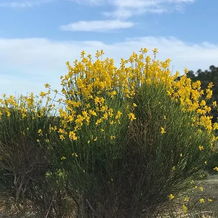 C A S A A D E L E Per Una Vacanza In Semplicita E Relax *