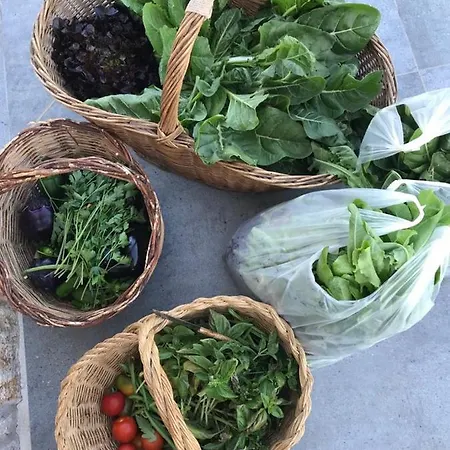 Casa Adele 3 Holiday home Itri