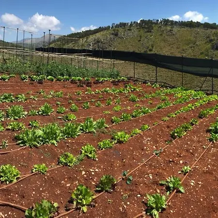 C A S A A D E L E Per Una Vacanza In Semplicita E Relax Σπίτι διακοπών *