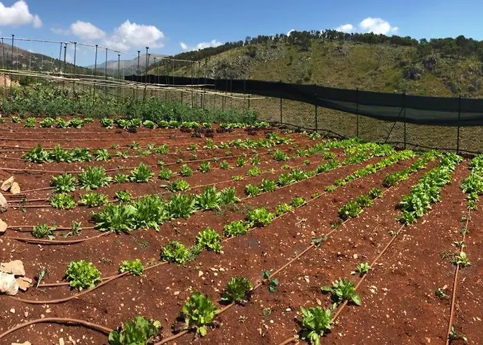 C A S A A D E L E Per In Semplicita E Relax Nyaraló *