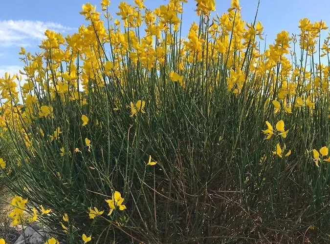 Nyaraló C A S A A D E L E Per In Semplicita E Relax *